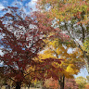 Meet your Posher, Stan